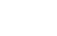 洞见